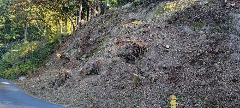 Local lawn mowing service in Belfair, WA by Daniel's Tree Service & Landscaping