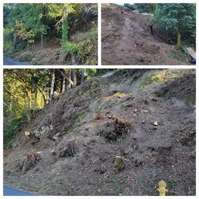 Daniel's Tree Service & Landscaping Logo