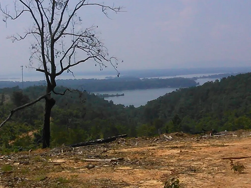 Expert landscape installation in Acworth, GA - Daniel's Tree Service and Landscaping