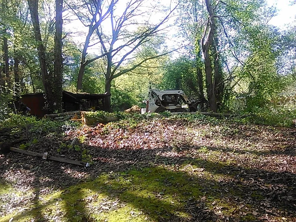 Trusted landscaping services experts serving Acworth, GA - Daniel's Tree Service and Landscaping