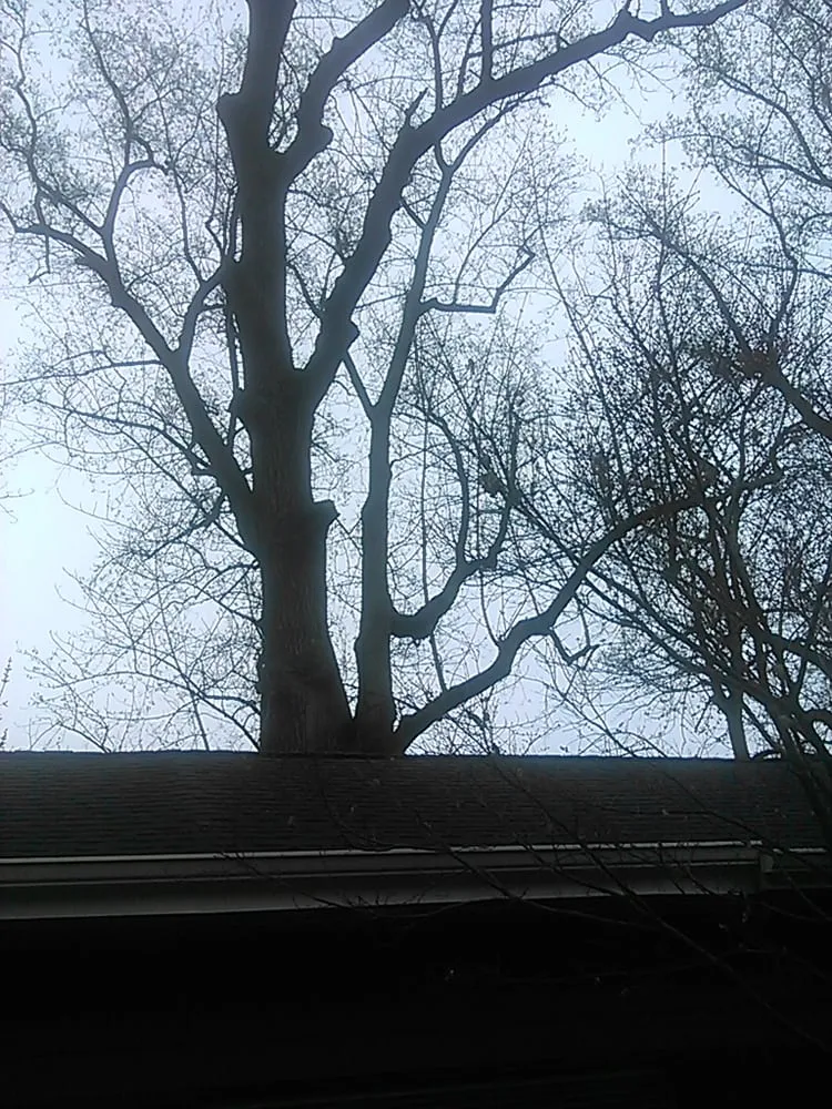 Affordable garden landscaping for residential properties across Acworth, GA - Daniel's Tree Service and Landscaping