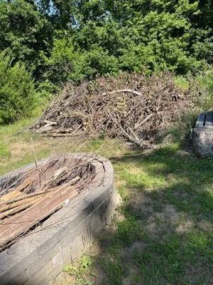 Daniels Tree Service