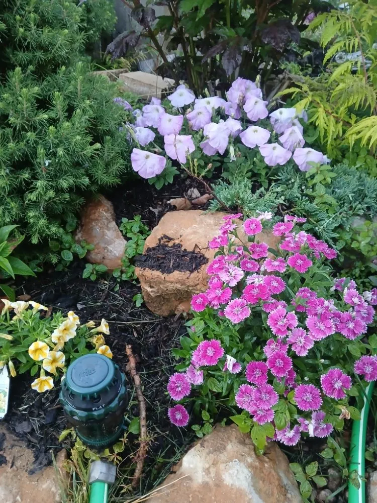 Local landscaping services experts serving Independence, MO - Danielsen Lawn Care