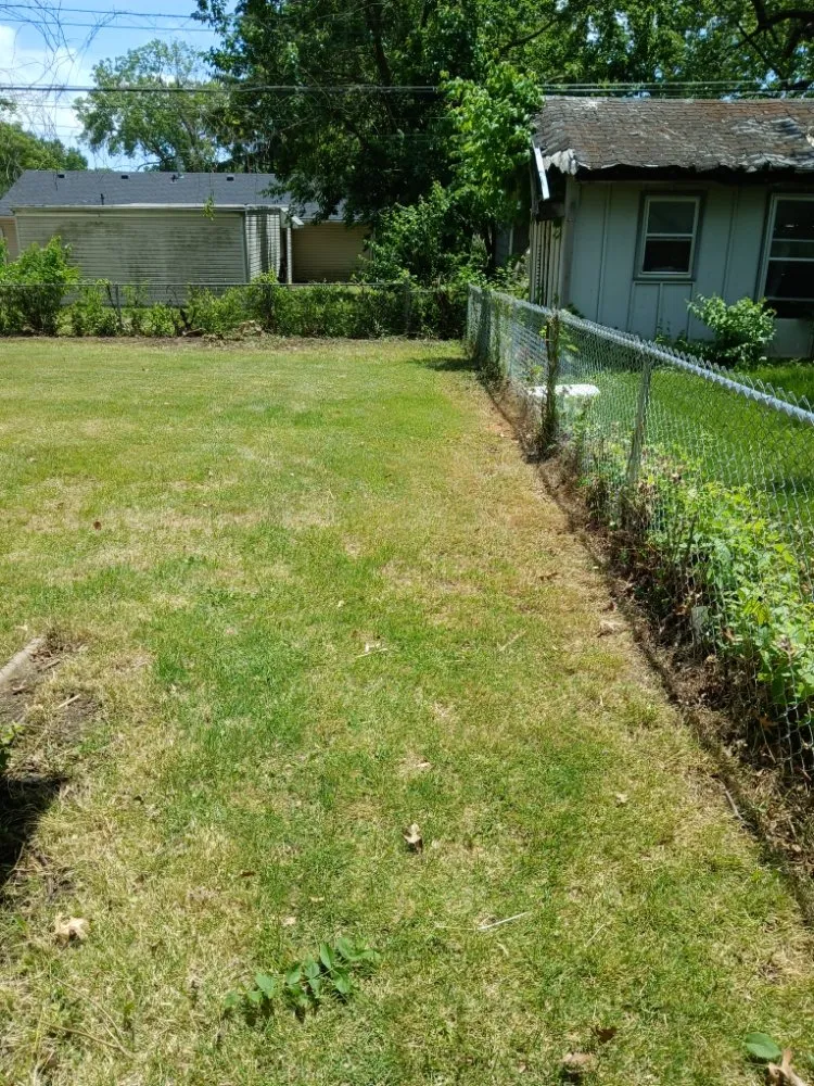 Affordable yard cleanup service in Independence, MO - Danielsen Lawn Care
