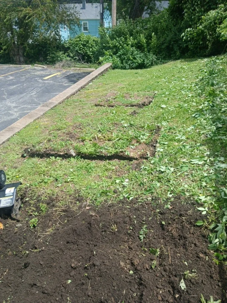 Local outdoor landscaping for homes across Independence, MO - Danielsen Lawn Care