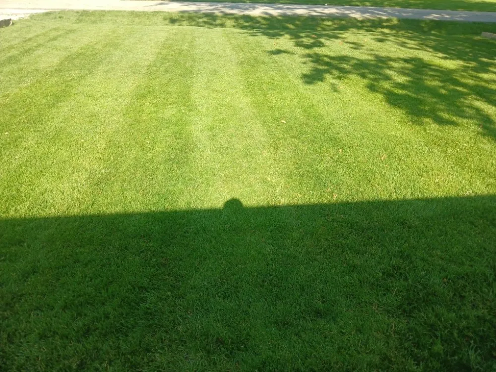 Affordable landscape installation in Independence, MO - Danielsen Lawn Care