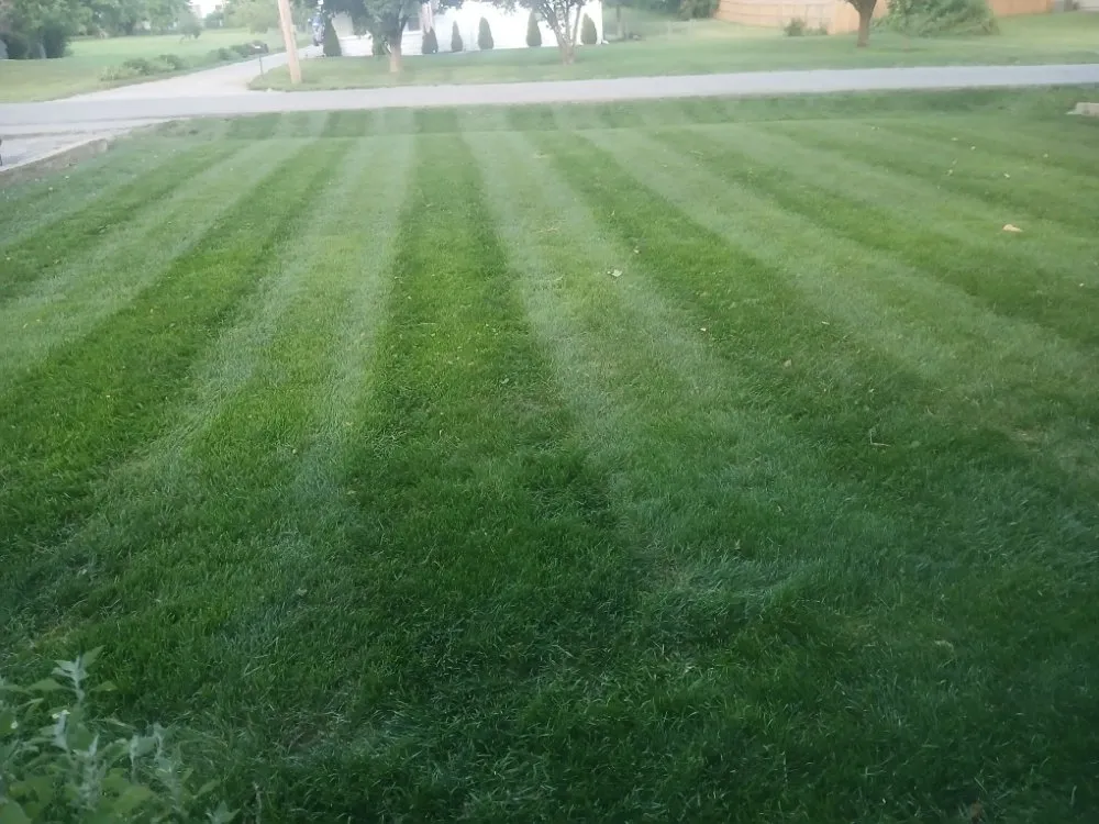 Professional yard maintenance near you in Independence, MO by Danielsen Lawn Care