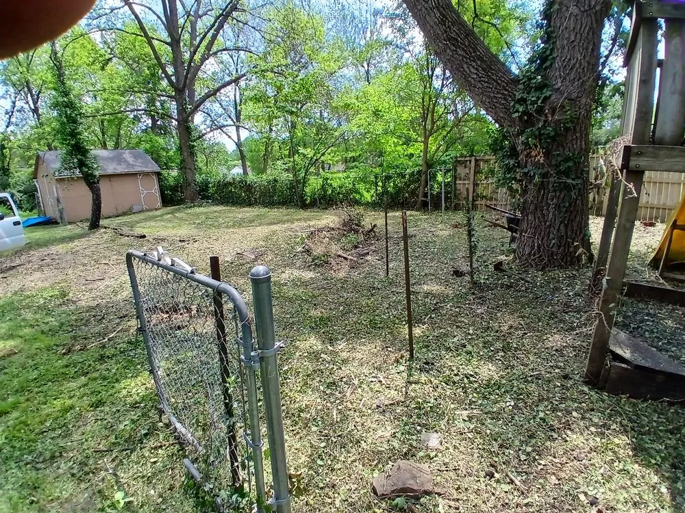 Custom yard cleanup service experts serving Independence, MO - Danielsen Lawn Care