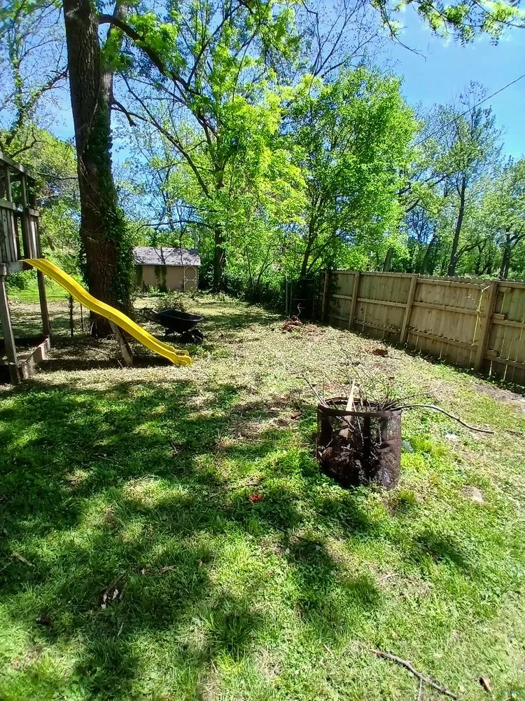 Expert lawn mowing service in Independence, MO - Danielsen Lawn Care