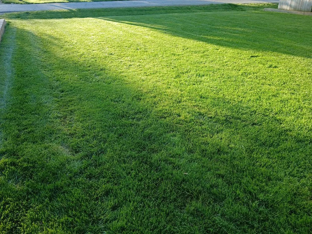 Top-rated yard maintenance for outdoor upgrades across Independence, MO - Danielsen Lawn Care