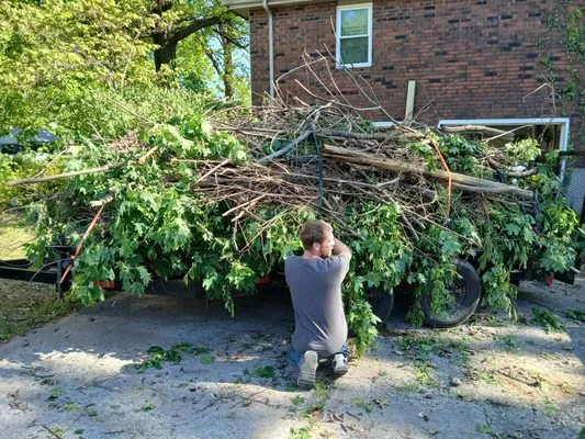 Danielsen Lawn Care Logo