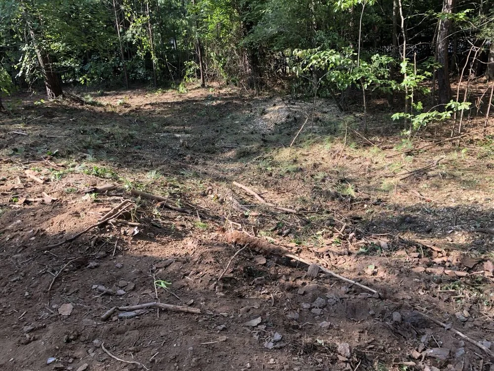 Top-rated lawn care service for homes in Dallas, GA by Danilo's Professional Tree Service & Landscaping