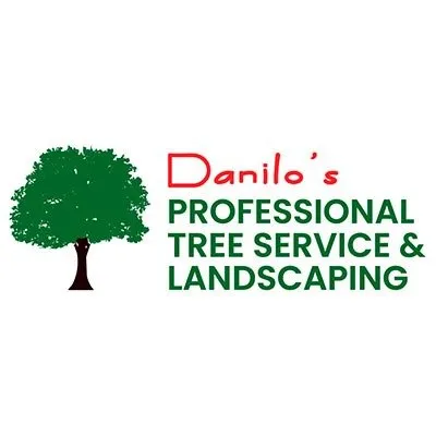 Professional landscape installation for outdoor upgrades across Dallas, GA - Danilo's Professional Tree Service & Landscaping