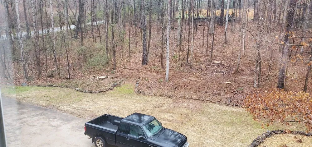 Top-rated lawn care service near you in Dallas, GA by Danilo's Professional Tree Service & Landscaping