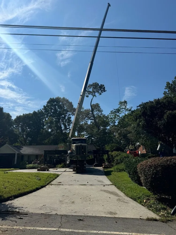 Trusted landscape design in Dallas, GA - Danilo's Professional Tree Service & Landscaping