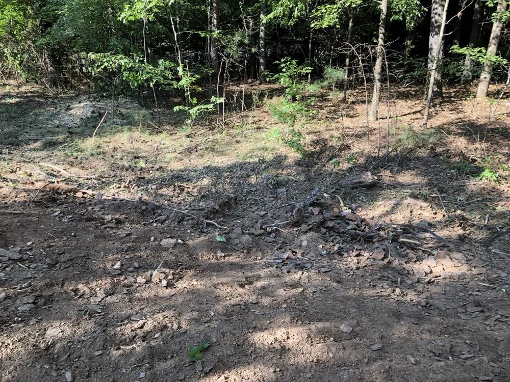 Reliable landscape installation in Dallas, GA by Danilo's Professional Tree Service & Landscaping