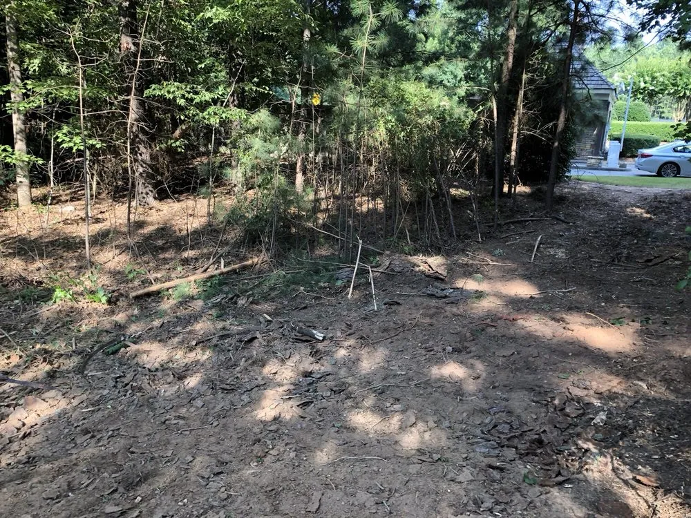 Local landscape installation for outdoor upgrades across Dallas, GA - Danilo's Professional Tree Service & Landscaping