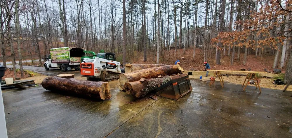 Custom lawn care service in Dallas, GA by Danilo's Professional Tree Service & Landscaping