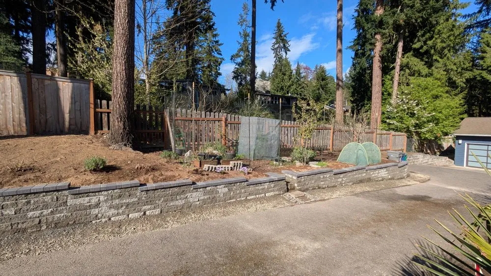 Reliable lawn mowing service for residential properties in Issaquah, WA by Danis Brick Paver & Landscaping