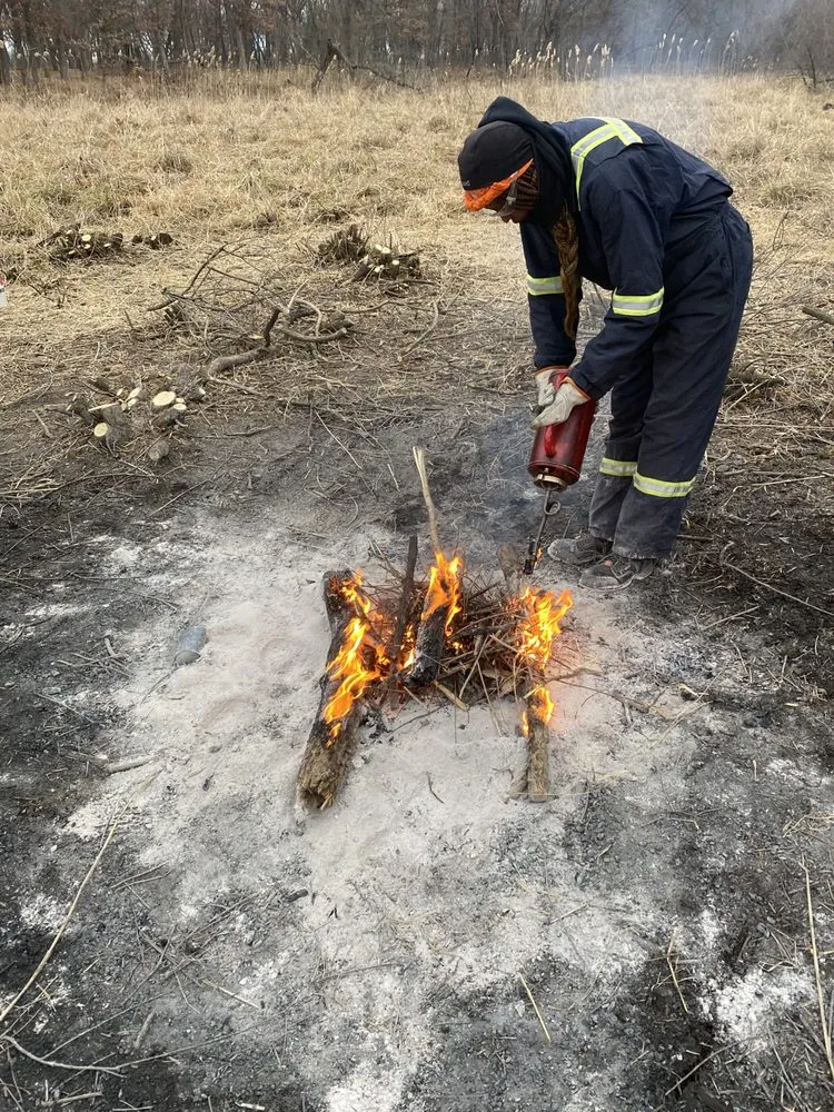 Expert lawn care service experts serving Chicago, IL - Danitra short