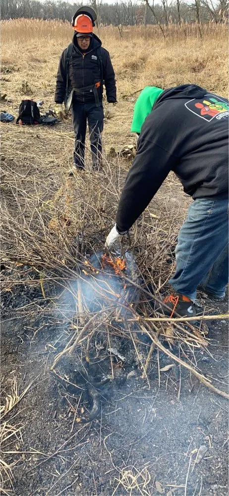 Top-rated landscaping services experts serving Chicago, IL - Danitra short