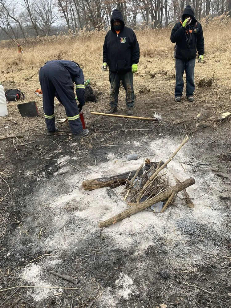 Top-rated outdoor landscaping in Chicago, IL - Danitra short