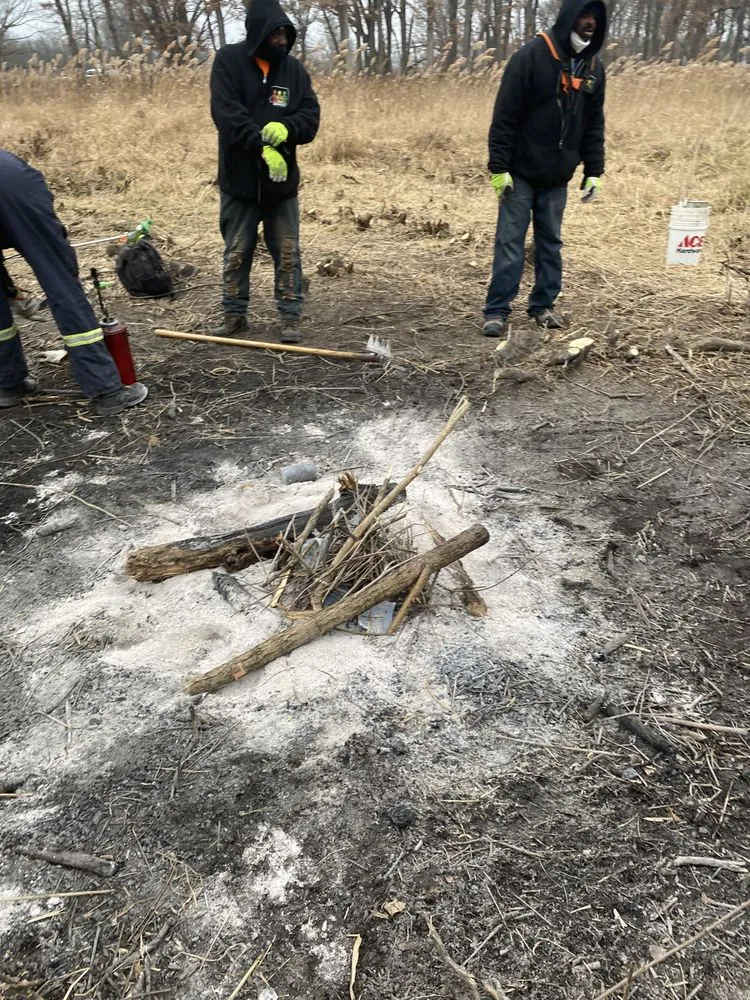 Local outdoor landscaping near you across Chicago, IL - Danitra short