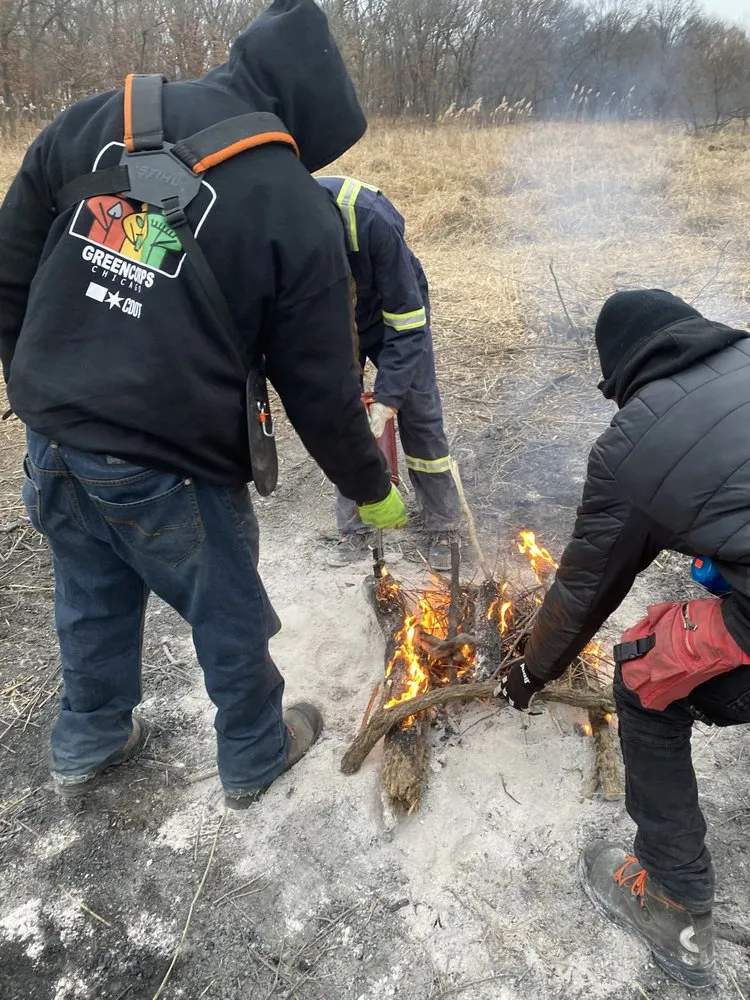 Trusted yard maintenance in Chicago, IL by Danitra short