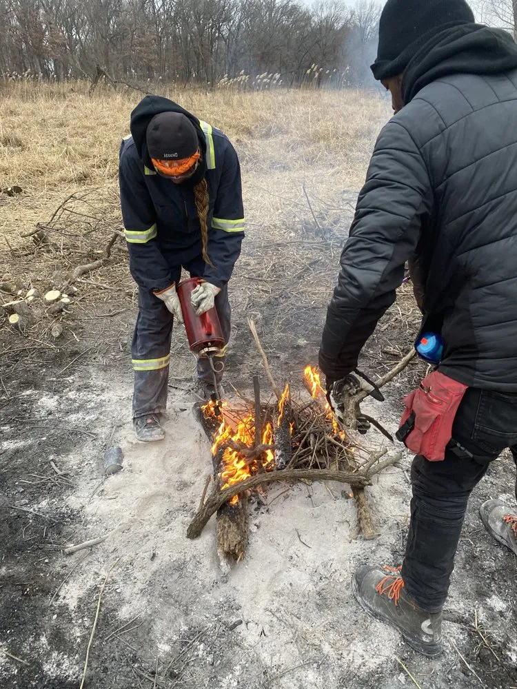 Custom residential landscaping in Chicago, IL by Danitra short