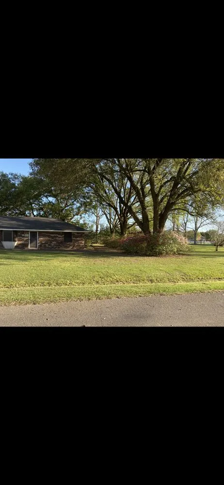 Expert yard maintenance experts serving Saint Martinville, LA - Danity Lawn and Maintenance