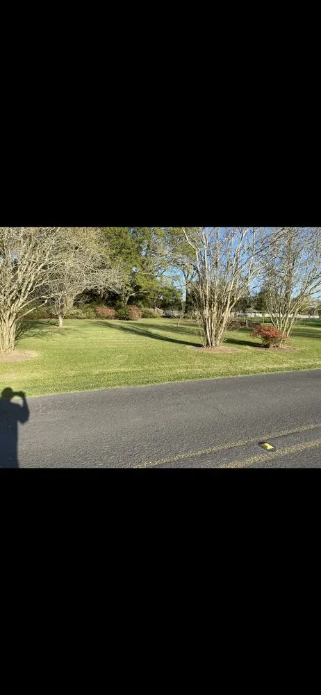 Top-rated lawn mowing service in Saint Martinville, LA by Danity Lawn and Maintenance
