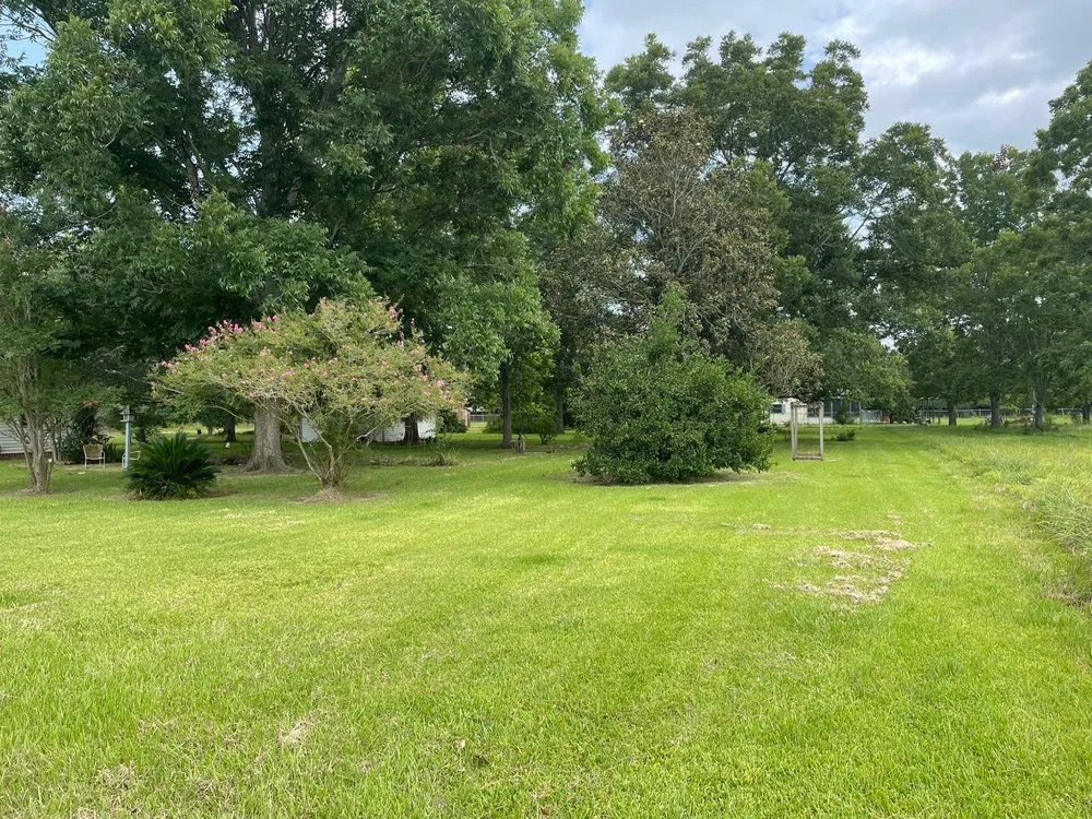 Local yard cleanup service for beautiful yards in Saint Martinville, LA by Danity Lawn and Maintenance