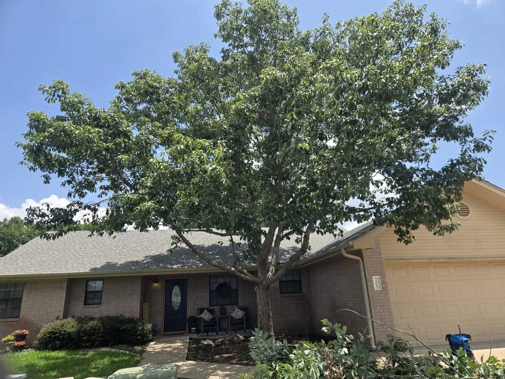 Local lawn mowing service in Burnet, TX by Danna Tree & Lawn Service