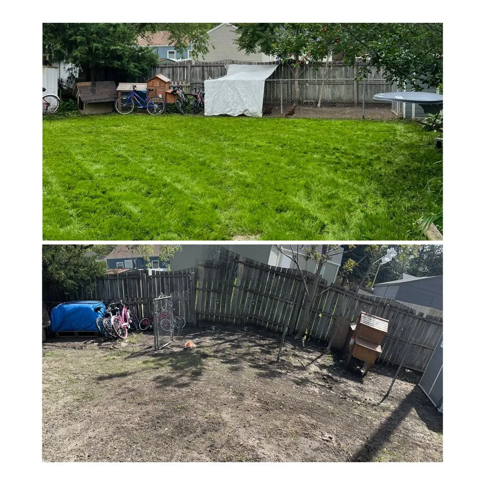 Expert landscape installation in Central City, NE - Danny & Sons Handyman & Lawn Care