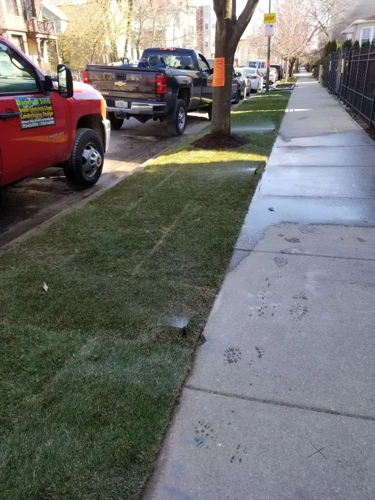 Professional landscape design in Chicago, IL - Danny and Sons Irrigation and Landscaping