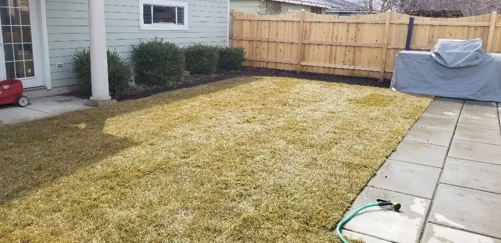 Custom residential landscaping in Chicago, IL by Danny and Sons Irrigation and Landscaping