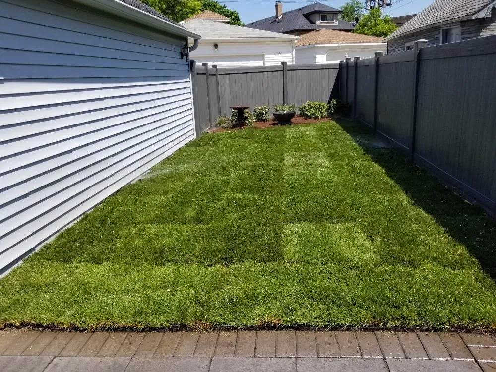 Local landscaping services for year-round maintenance in Chicago, IL by Danny and Sons Irrigation and Landscaping