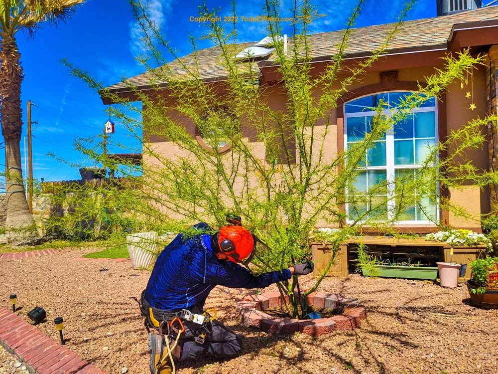 Expert lawn mowing service for outdoor upgrades across El Paso, TX - Danny G Yard Care and Tree Care