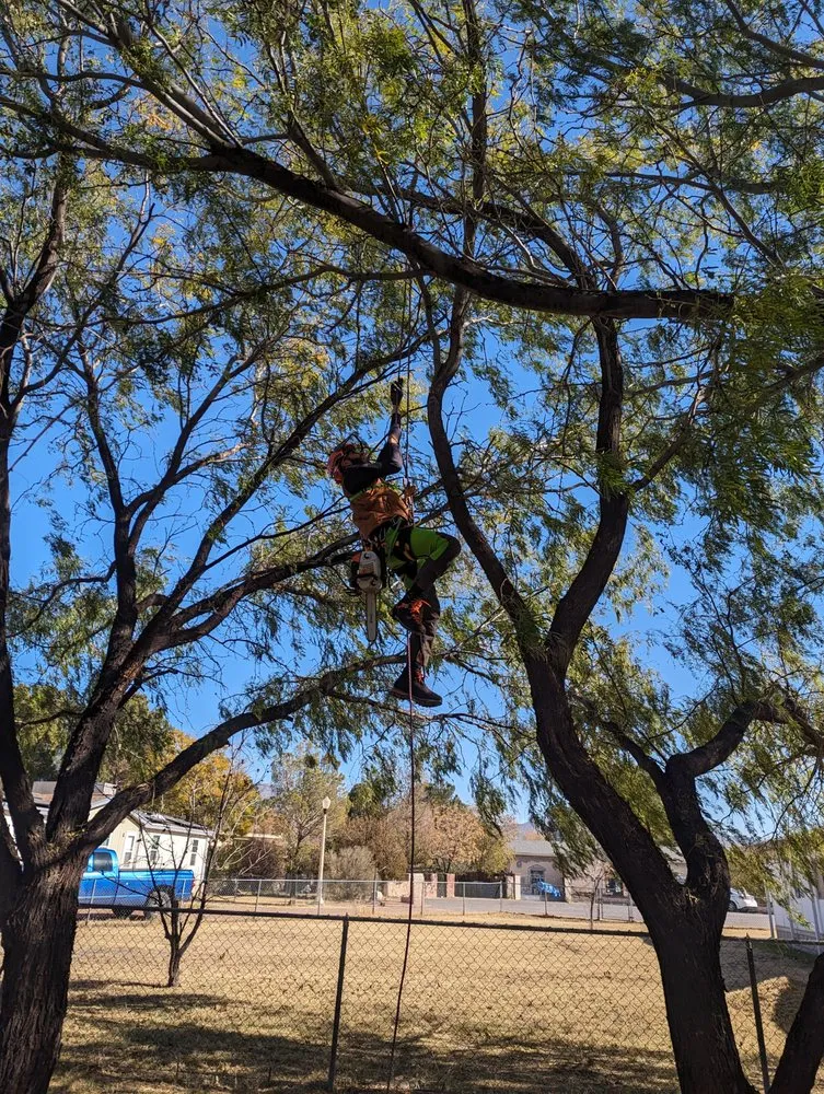 Local yard cleanup service near you in El Paso, TX by Danny G Yard Care and Tree Care