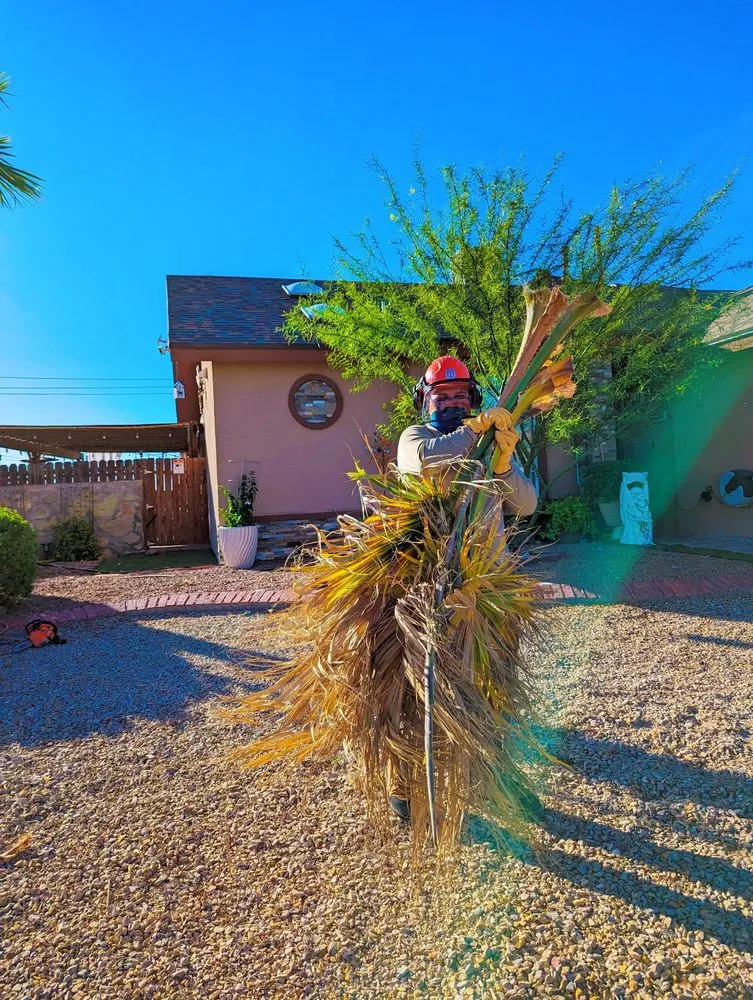 Reliable yard maintenance experts serving El Paso, TX - Danny G Yard Care and Tree Care