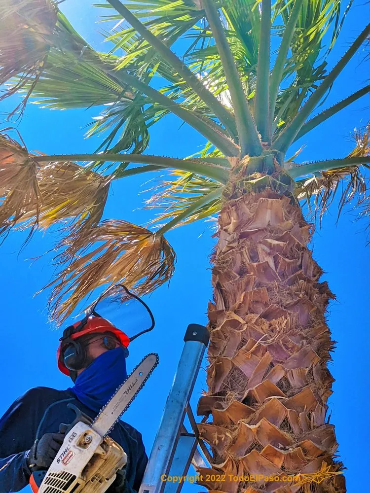 Custom landscape design in El Paso, TX by Danny G Yard Care and Tree Care