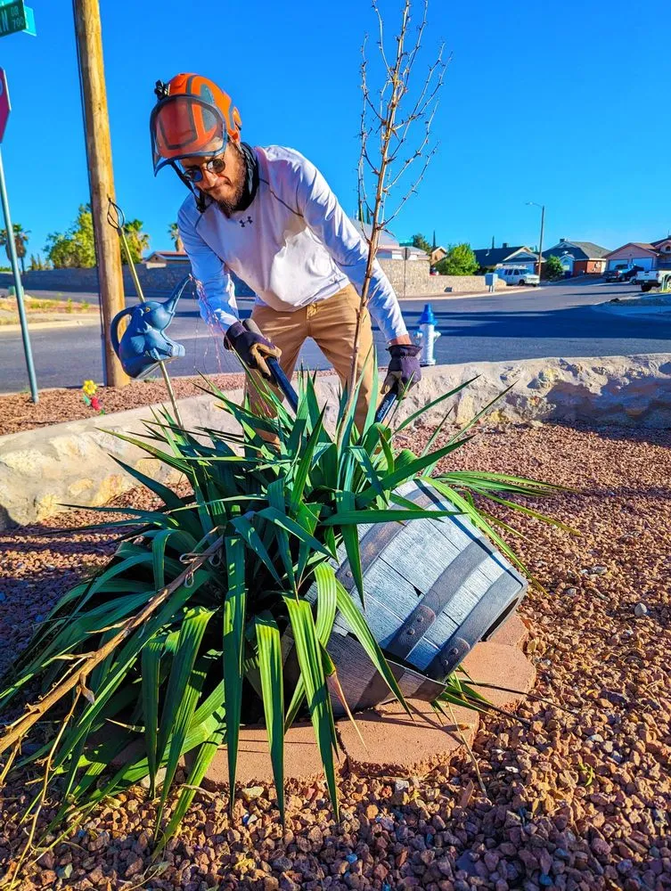 Top-rated yard cleanup service experts serving El Paso, TX - Danny G Yard Care and Tree Care