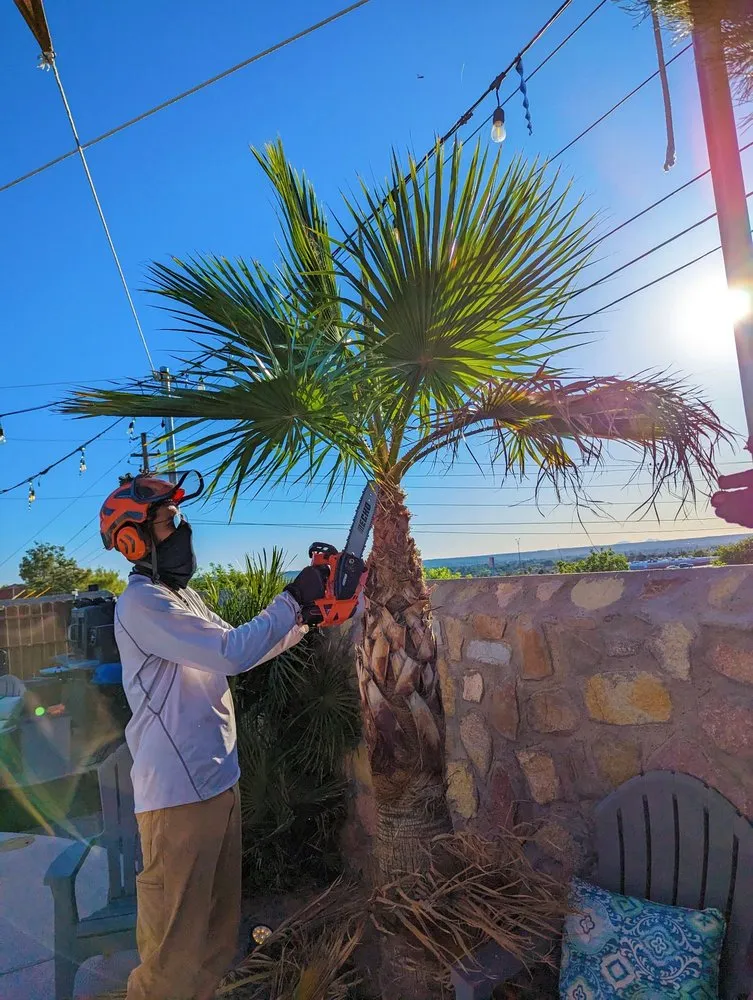 Affordable lawn mowing service in El Paso, TX by Danny G Yard Care and Tree Care