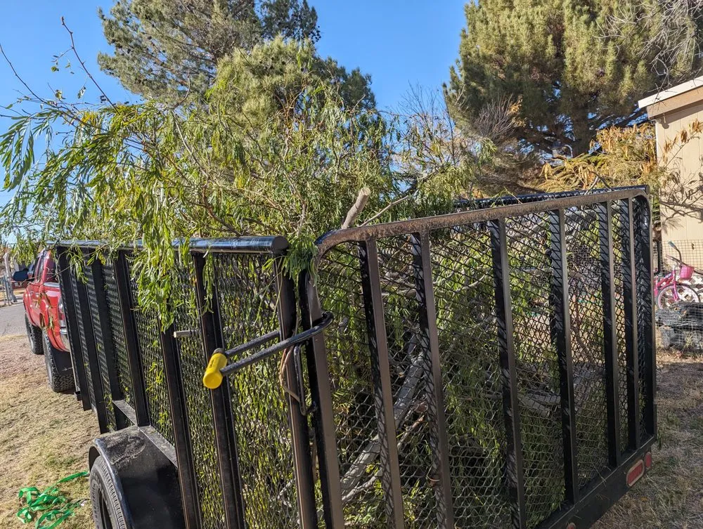 Professional residential landscaping experts serving El Paso, TX - Danny G Yard Care and Tree Care