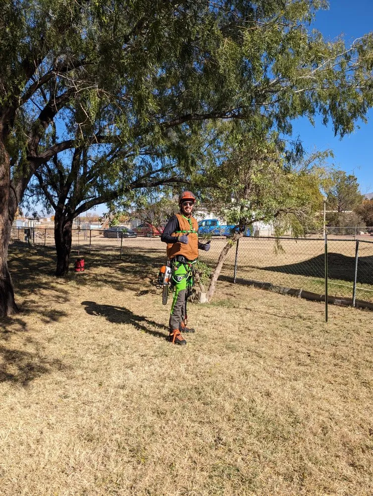 Local yard cleanup service for year-round maintenance in El Paso, TX by Danny G Yard Care and Tree Care