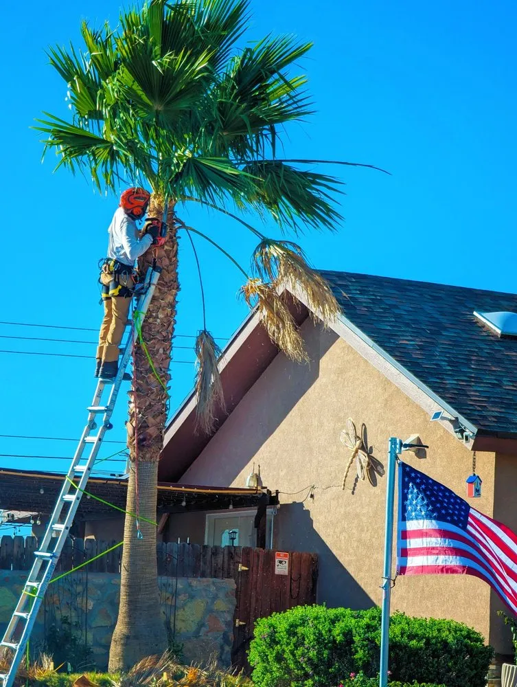 Top-rated garden landscaping in El Paso, TX by Danny G Yard Care and Tree Care