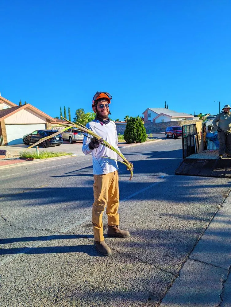 Expert landscape design for residential properties in El Paso, TX by Danny G Yard Care and Tree Care