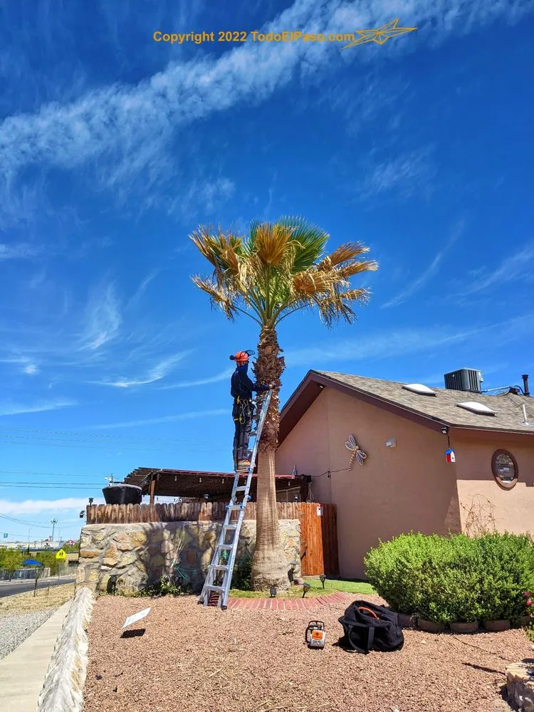 Local residential landscaping near you in El Paso, TX by Danny G Yard Care and Tree Care