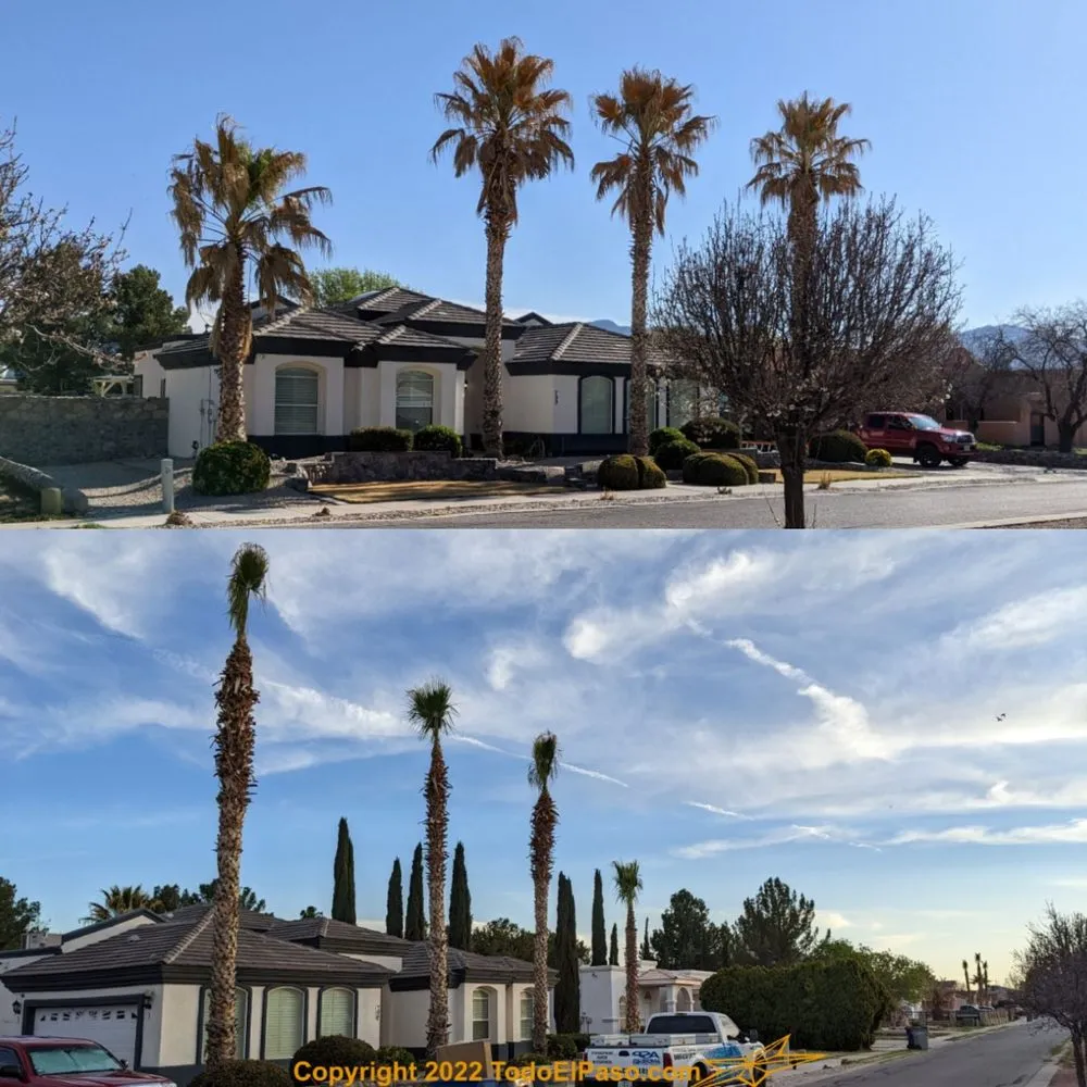 Expert residential landscaping in El Paso, TX - Danny G Yard Care and Tree Care