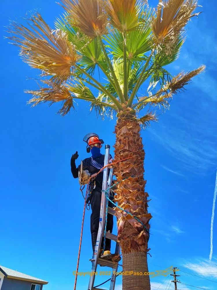 Expert landscape installation in El Paso, TX by Danny G Yard Care and Tree Care